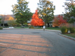 DeerCreekLodge07