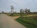 MyersFarm01
