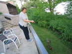 OhioCritters1